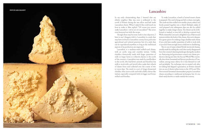 Milk Into Cheese: The Foundations of Natural Cheesemaking Using Traditional Concepts, Tools, and Techniques