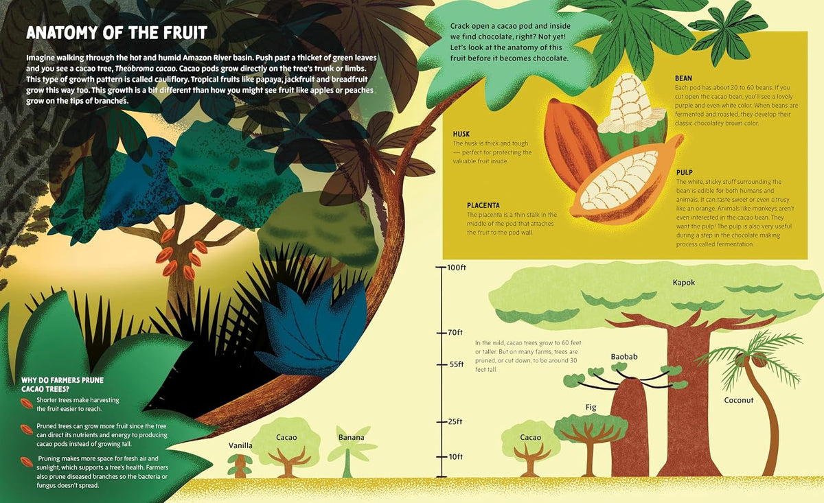 Chocolate Unwrapped: A Taste of the Science, History and Magic of Chocolate