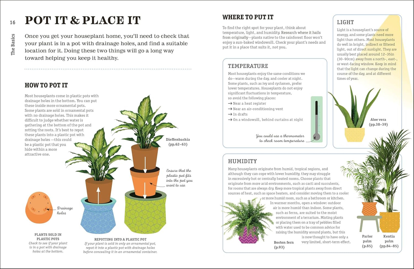 How Not to Kill Your Houseplant New Edition: Survival Tips for the Horticulturally Challenged: Survival Tips for the Horticulturally Challenged