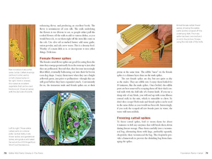 Edible Wild Plants, Volume 2: Wild Foods from Foraging to Feasting by John Kallas Phd