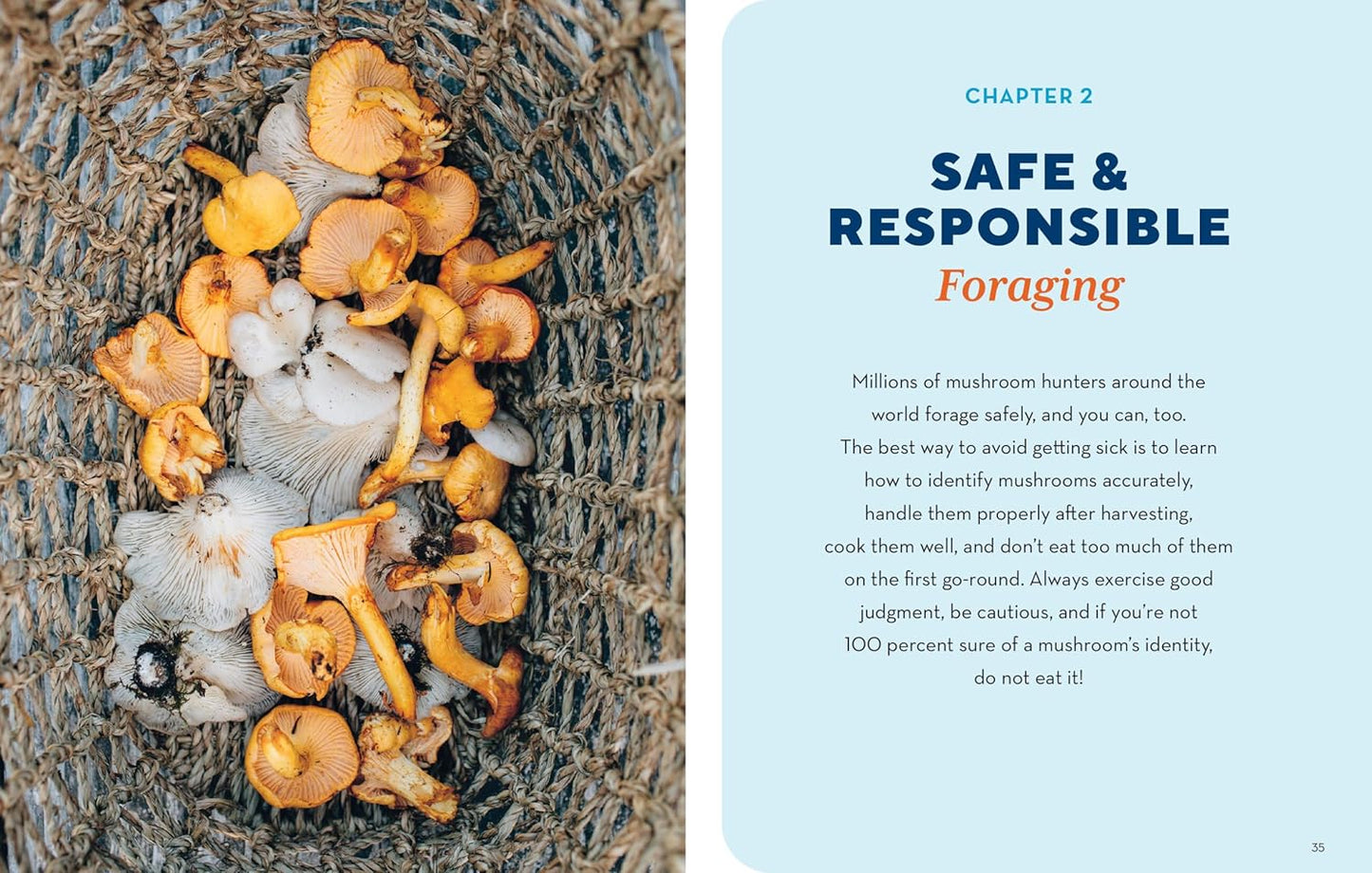 How to Forage for Mushrooms Without Dying: An Absolute Beginner's Guide to Identifying 29 Wild, Edible Mushrooms