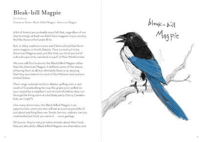 A Dumb Birds Field Guide to the Worst Birds Ever by Matt Kracht