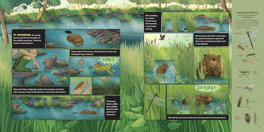 What Goes on Inside a Beaver Pond?