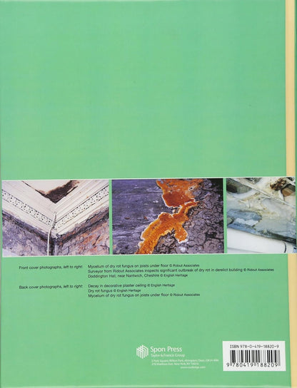 Timber Decay in Buildings: The Conservation Approach to Treatment by Brian Ridout