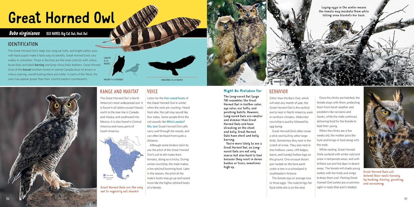 Owling: Enter the World of the Mysterious Birds of the Night by Mark Wilson