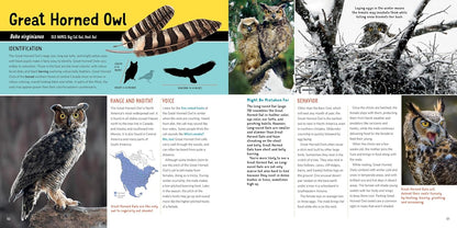 Owling: Enter the World of the Mysterious Birds of the Night by Mark Wilson