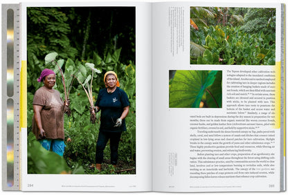 Lo--Tek Water: A Field Guide for TEKnology by Julia Watson