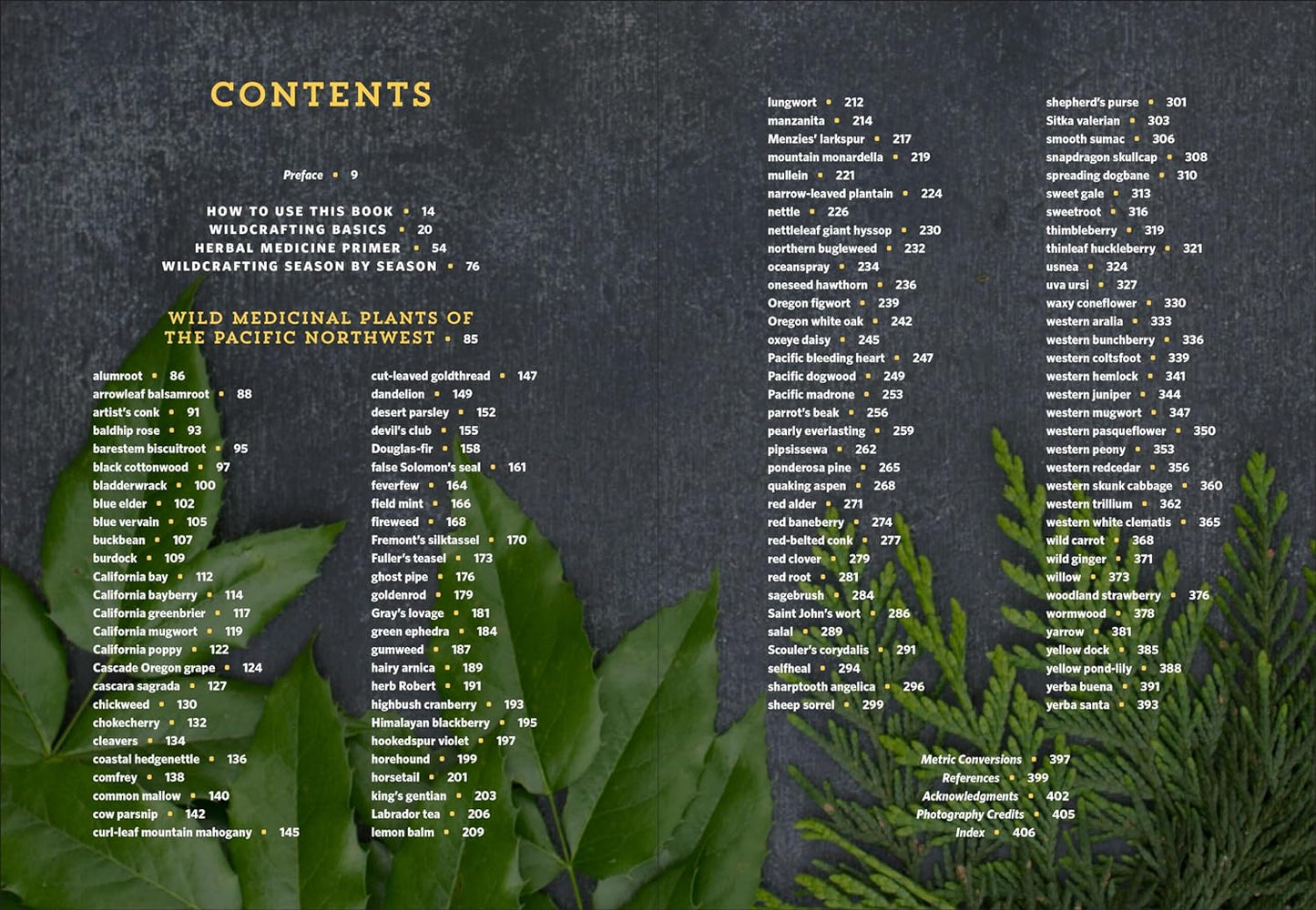 Pacific Northwest Medicinal Plants: Identify, Harvest, and Use 120 Wild Herbs for Health and Wellness by Scott Kloos