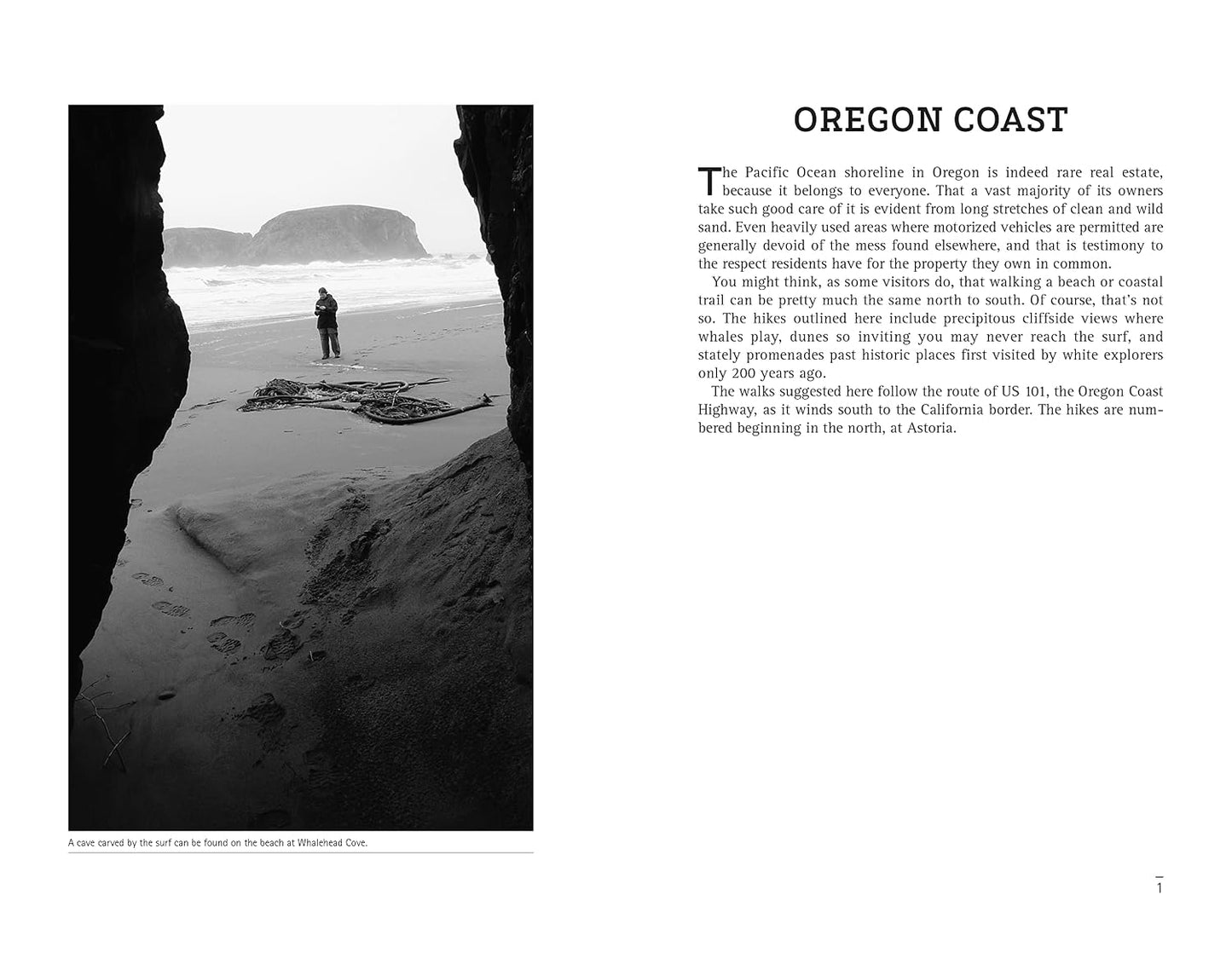 The Creaky Knees Guide: Oregon-The 85 Best Easy Hikes (3rd Edition)