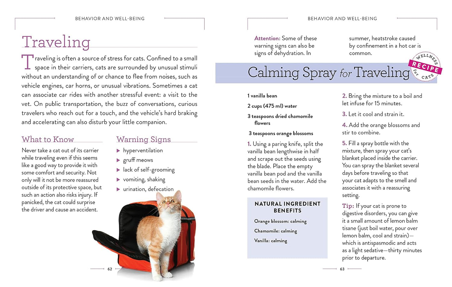 Wellness for Cats: A Guide for Health, Hygiene, and Happiness