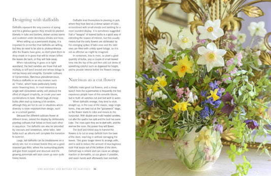Daffodils: Beautiful Varieties for Home and Garden