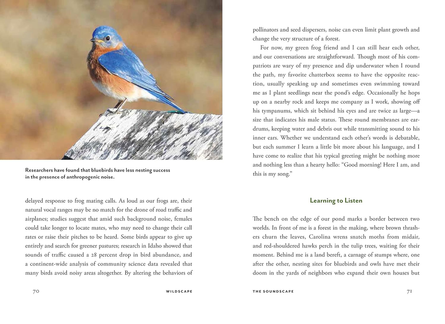 Wildscape: Trilling Chipmunks, Beckoning Blooms, Salty Butterflies, and Other Sensory Wonders of Nature by Nancy Lawson