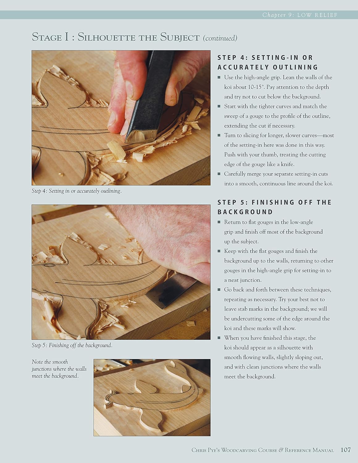 Chris Pye's Woodcarving Course & Reference Manual: A Beginner's Guide to Traditional Techniques