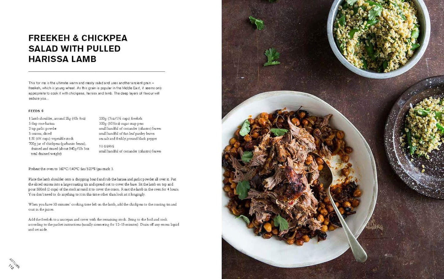 Big Salads: The Ultimate Fresh, Satisfying Meal, on One Plate by Kat Mead