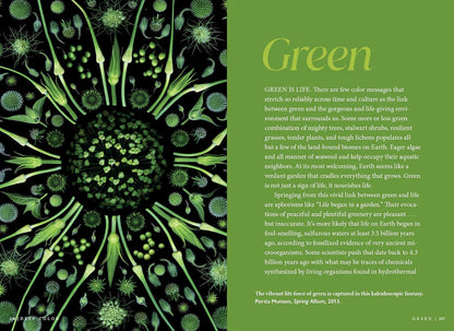 Deep Color: The Shades That Shape Our Souls