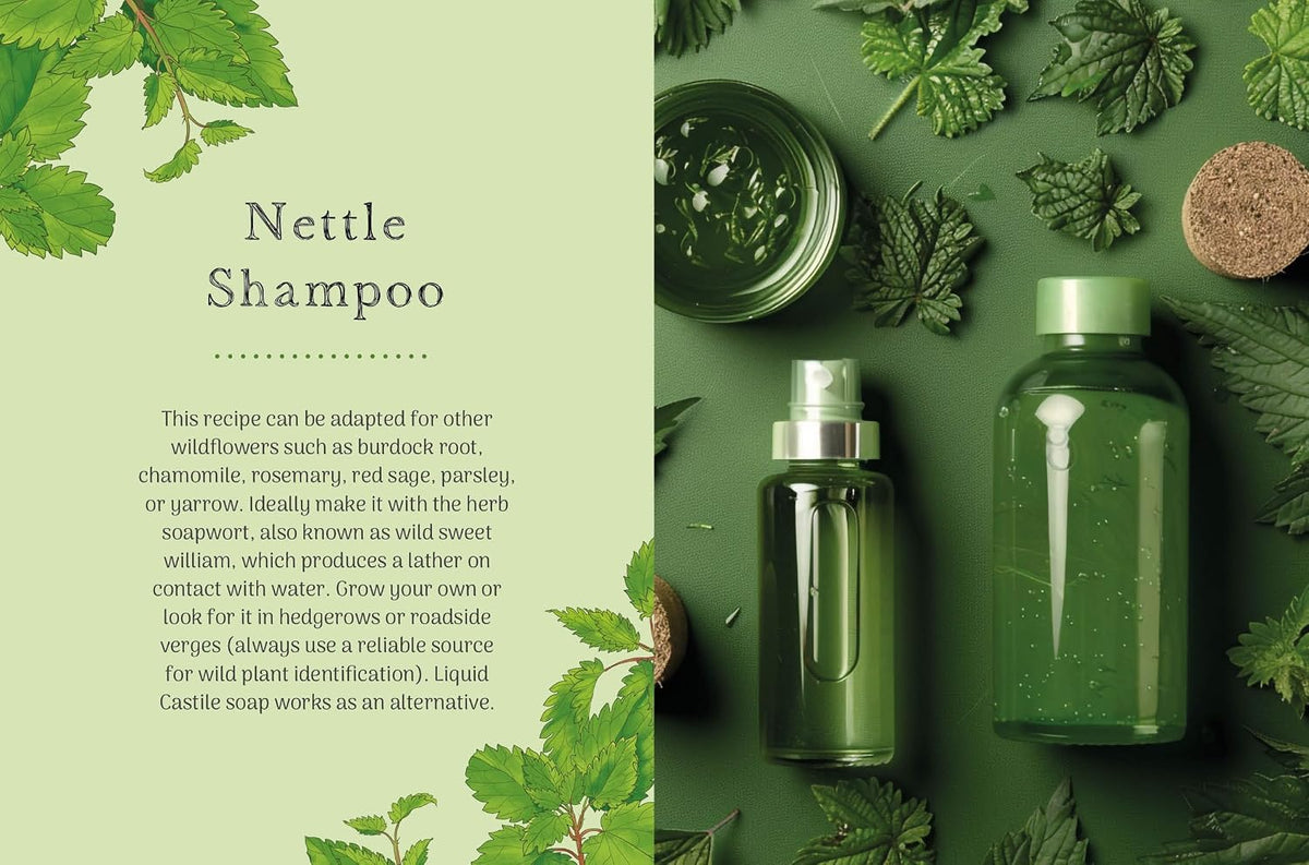 Nettle: Simple Things to Do with the Plants Around You (The Little Wild Library)