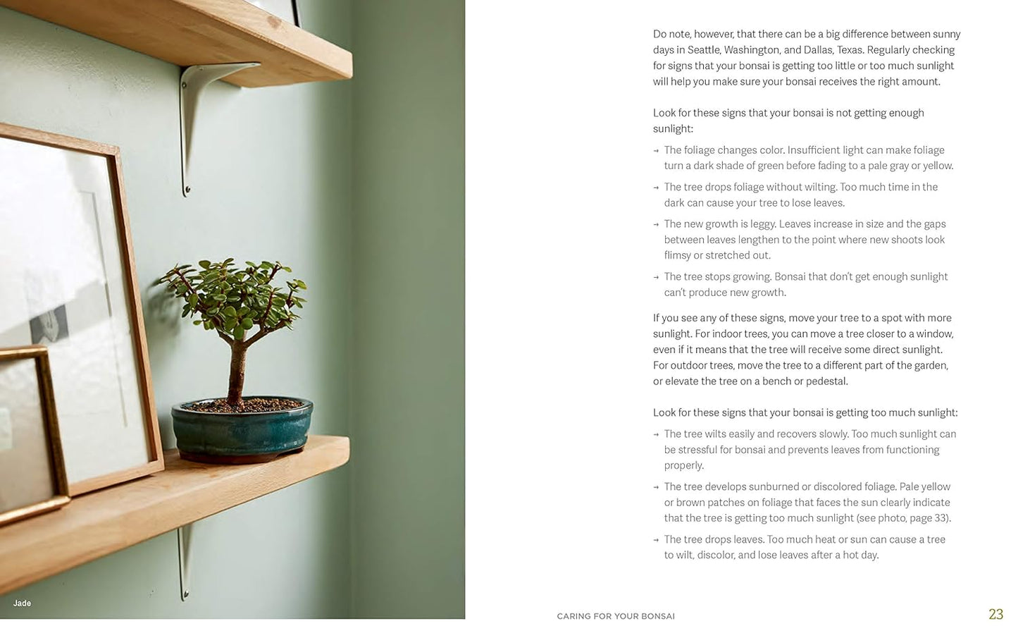The Little Book of Bonsai: An Easy Guide to Caring for Your Bonsai Tree: An Easy Guide to Caring for Your Bonsai Tree