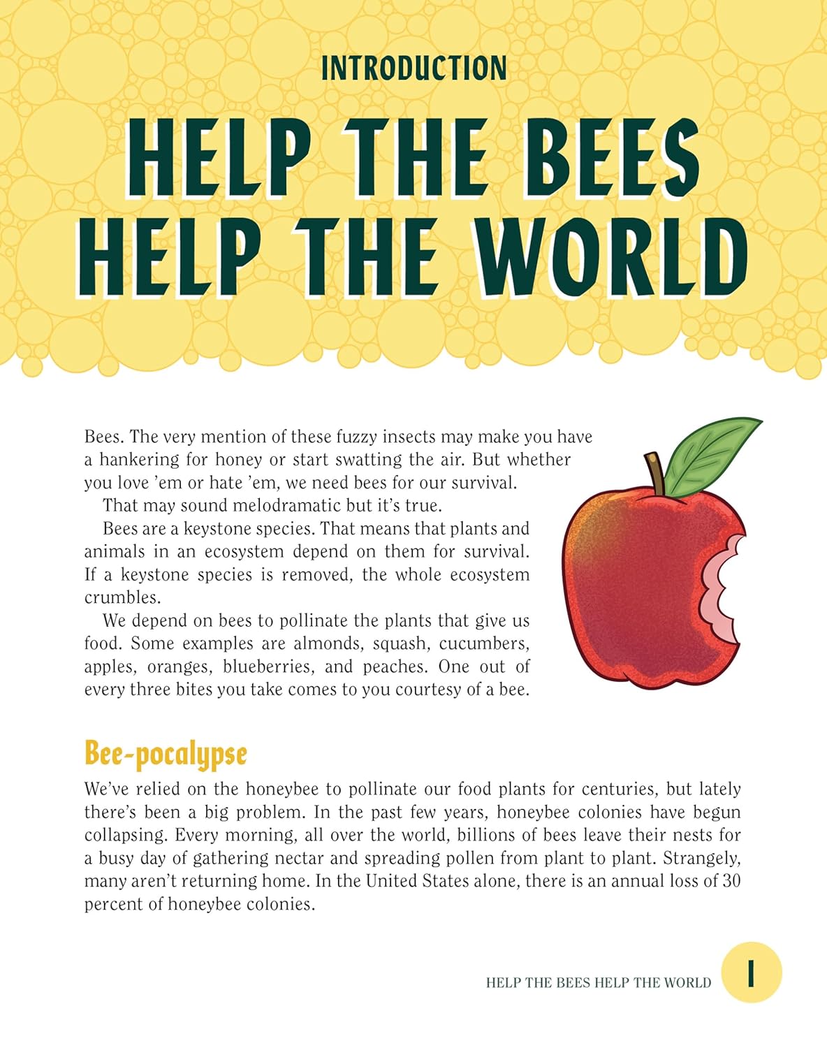 Turn This Book Into a Beehive!: And 19 Other Experiments and Activities That Explore the Amazing World of Bees by Lynn Brunelle