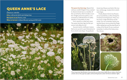 How to Forage for Wild Foods Without Dying: An Absolute Beginner's Guide to Identifying 40 Edible Wild Plants by Ellen Zachos