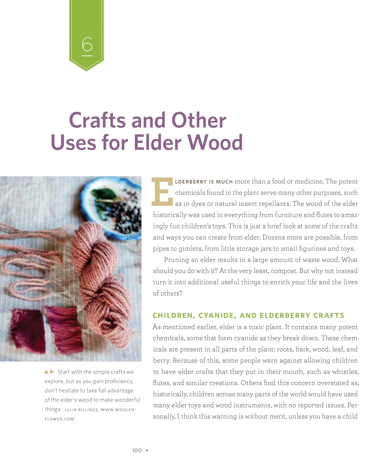 The Elderberry Book: Forage, Cultivate, Prepare, Preserve: Forage, Cultivate, Prepare, Preserve