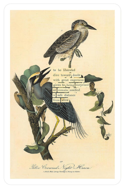 An Almanac of Birds: 100 Divinations for Uncertain Days