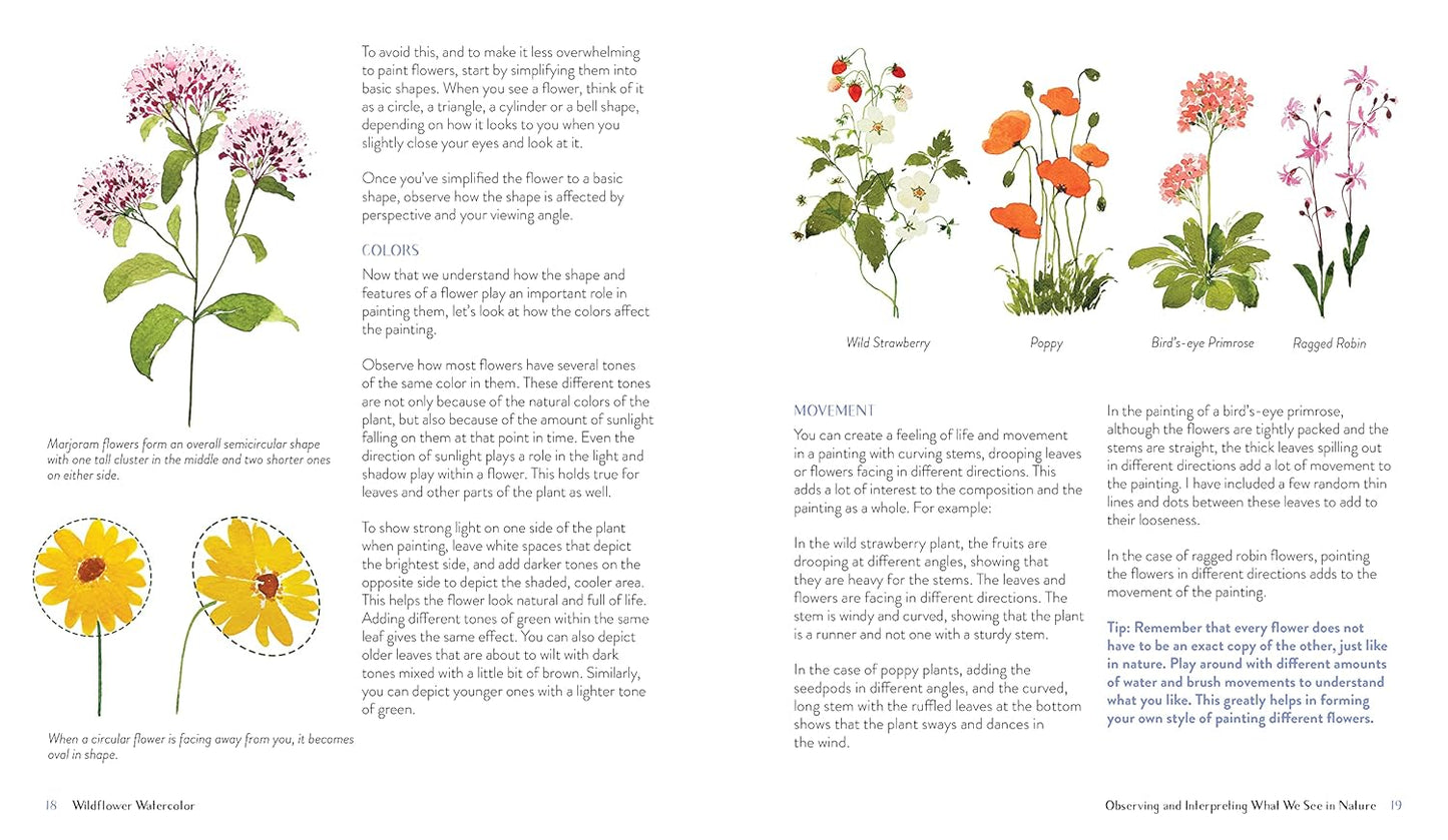Wildflower Watercolor: The Beginner's Guide to Painting Beautiful Florals: The Beginner's Guide to Painting Beautiful Florals