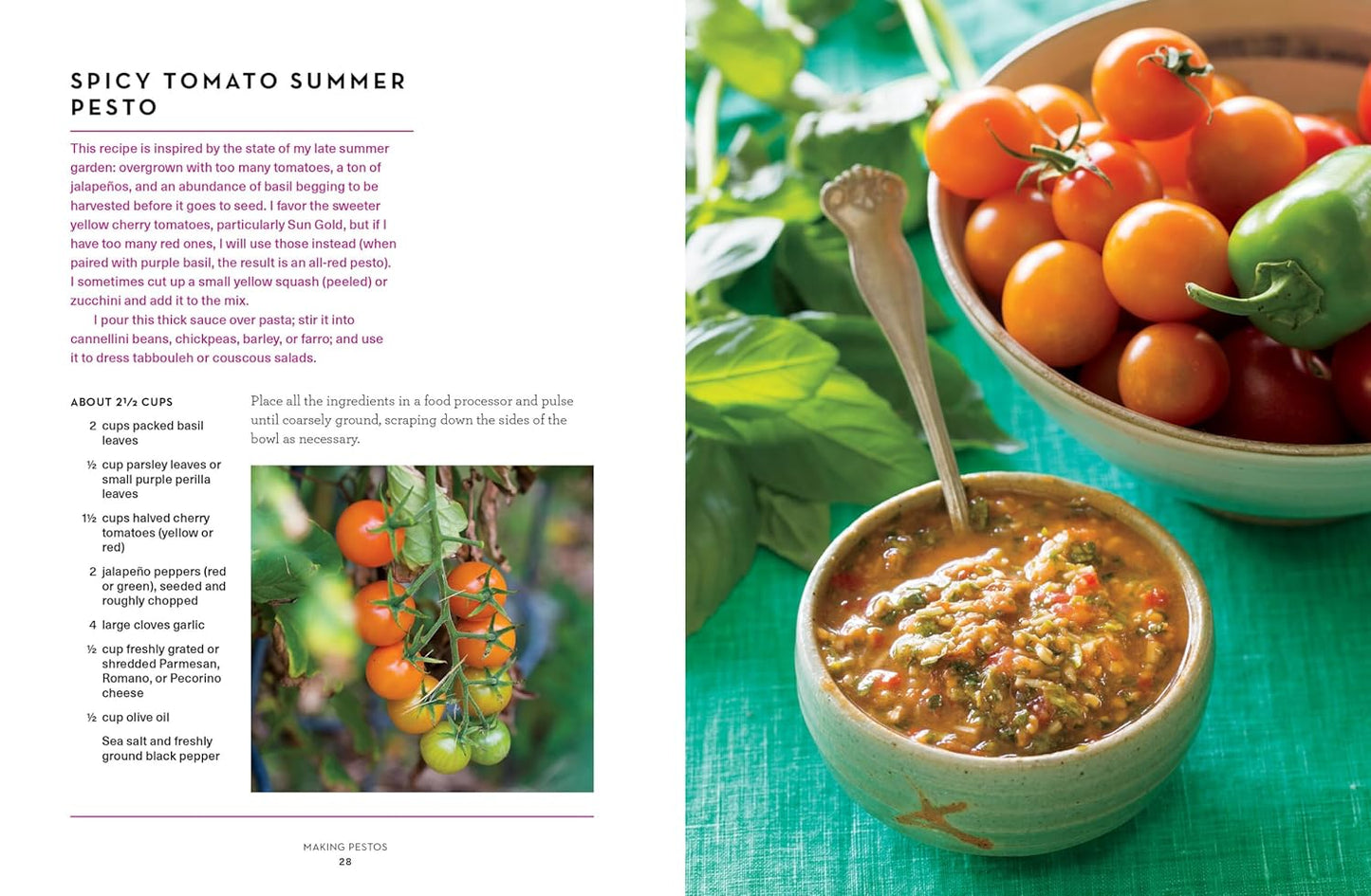 The Pesto Cookbook: 116 Recipes for Creative Herb Combinations and Dishes Bursting with Flavor by Olwen Woodier