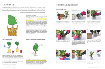 House Plants for Every Space: A Concise Guide to Selecting, Designing and Maintaining Plants in Any Indoor Space: A Concise Guide to Selecting, Designing and Maintaining Plants in Any Indoor Space