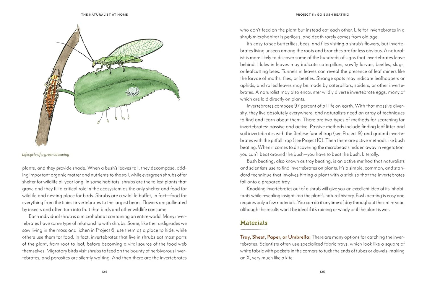 The Naturalist at Home: Projects for Discovering the Hidden World Around Us: Projects for Discovering the Hidden World Around Us