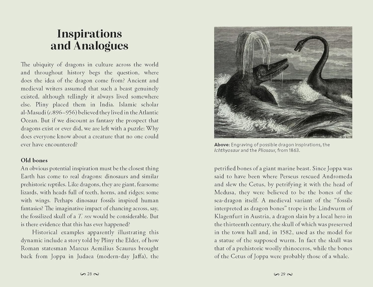 Pocket Book of Dragons by Joel Levy