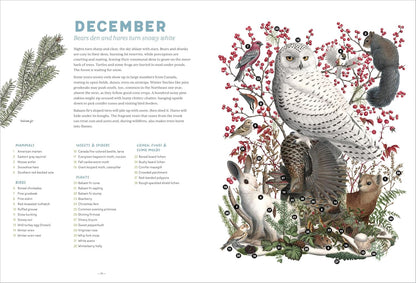 The Forest Revealed: An Illustrated Year by Jada Fitch & Kateri Kosek