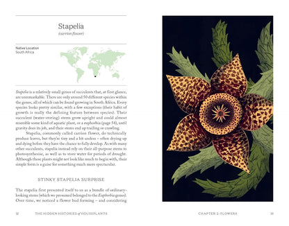 The Hidden Histories of Houseplants: Fascinating Stories of Our Most-Loved Houseplants