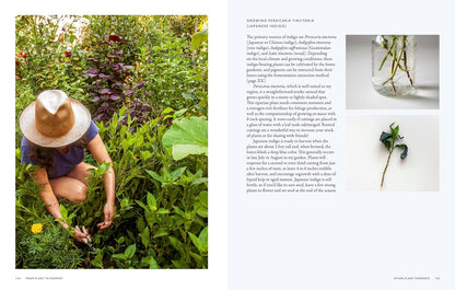 From Plant to Pigment: How to Make Your Own Vibrant Inks, Pastels and Paints by Natalie Stopka