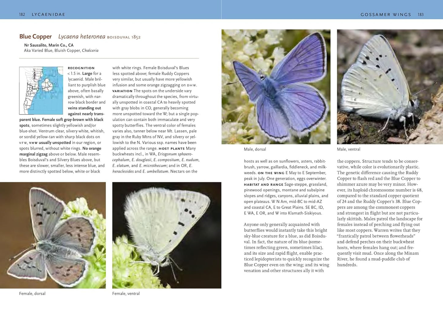 Butterflies of the Pacific Northwest by Robert Michael Pyle & Caitlin C Labar