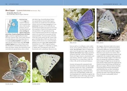 Butterflies of the Pacific Northwest by Robert Michael Pyle & Caitlin C Labar