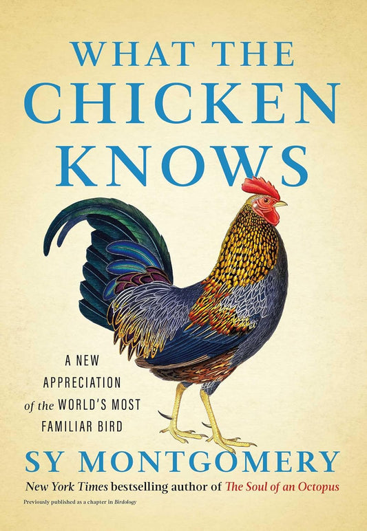 What the Chicken Knows: A New Appreciation of the World's Most Familiar Bird: A New Appreciation of the World's Most Familiar Bird