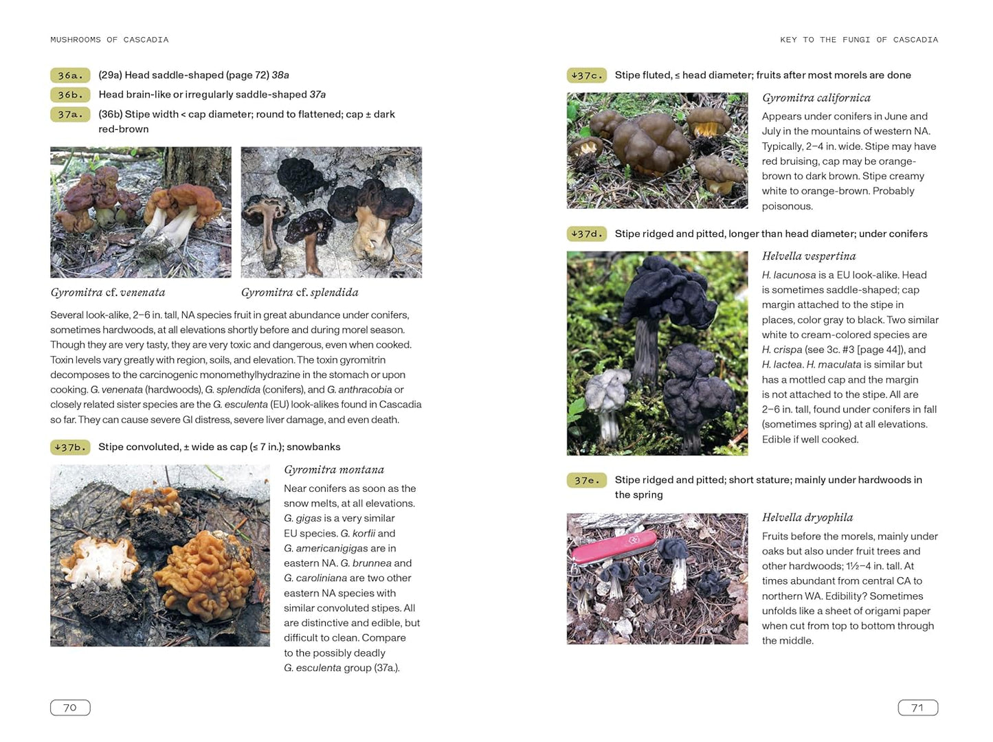 Mushrooms of Cascadia, Second Edition: An Illustrated Key to the Fungi of the Pacific Northwest: An Illustrated Key to the Fungi of the Pacific Northwest
