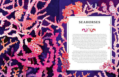 Oceanopedia: An Encyclopedia of Marine Creatures