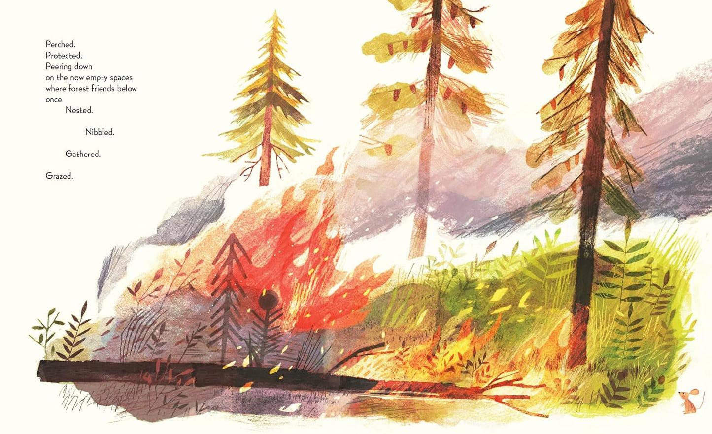 Pine Cone Regrown: How One Species Thrives After Fire by Elisa Boxer