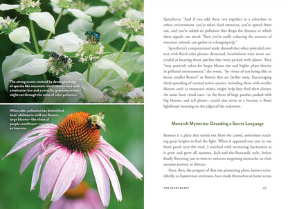 Wildscape: Trilling Chipmunks, Beckoning Blooms, Salty Butterflies, and Other Sensory Wonders of Nature by Nancy Lawson
