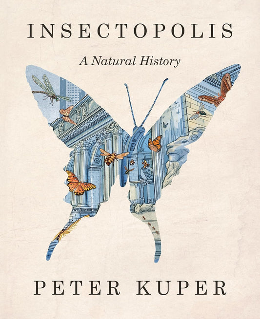 Insectopolis: A Natural History by Peter Kuper