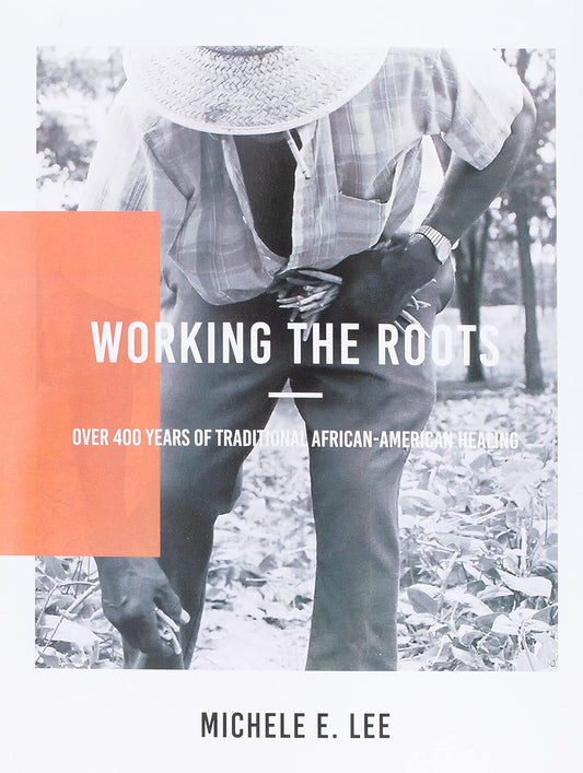 Working The Roots: Over 400 Years of Traditional African American Healing by Michele Elizabeth Lee