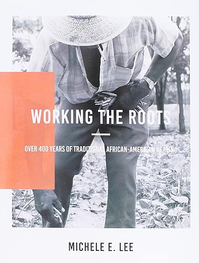 Working The Roots: Over 400 Years of Traditional African American Healing by Michele Elizabeth Lee
