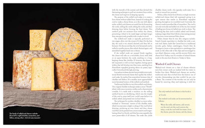 Milk Into Cheese: The Foundations of Natural Cheesemaking Using Traditional Concepts, Tools, and Techniques