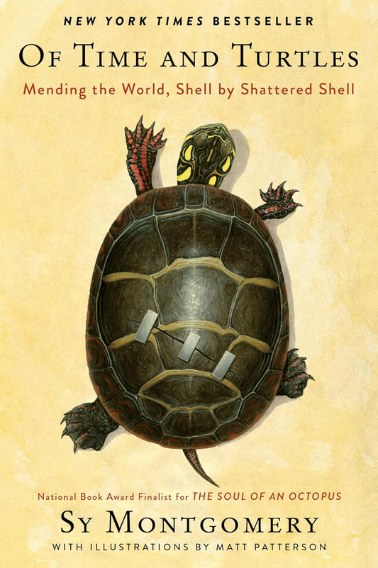 Of Time and Turtles: Mending the World, Shell by Shattered Shell: Mending the World, Shell by Shattered Shell