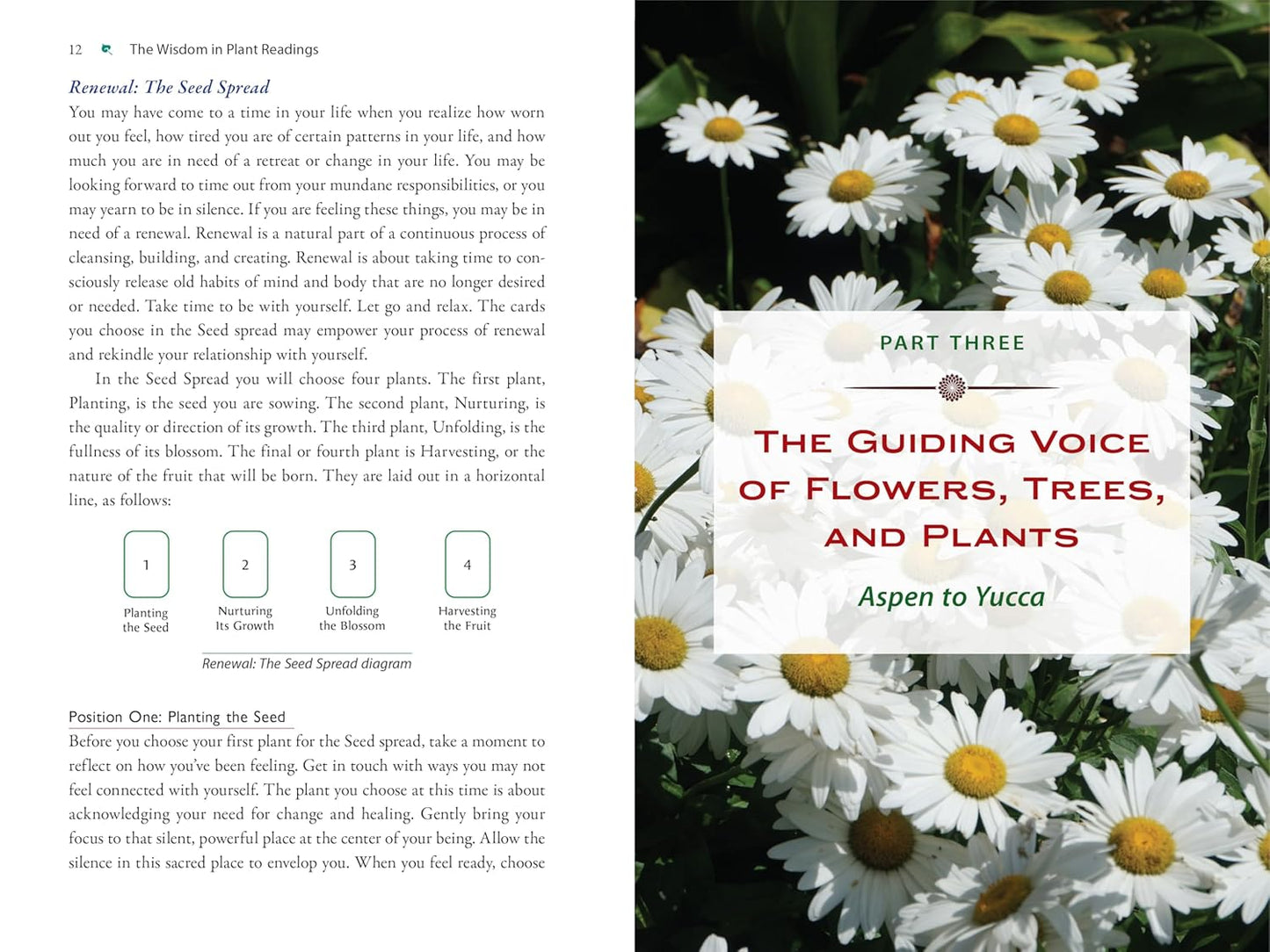Plant Energy Medicine: The Guiding Voice and Healing Vibration of 58 Plants: The Guiding Voice and Healing Vibration of 58 Plants