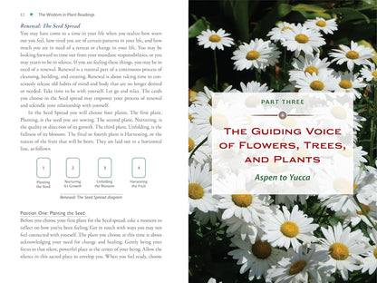 Plant Energy Medicine: The Guiding Voice and Healing Vibration of 58 Plants: The Guiding Voice and Healing Vibration of 58 Plants