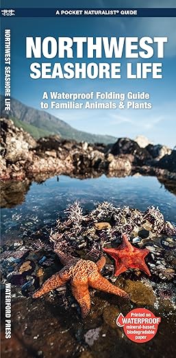 Northwest Seashore Life: A Folding Pocket Guide to Familiar Animals & Plants (2nd Ed)