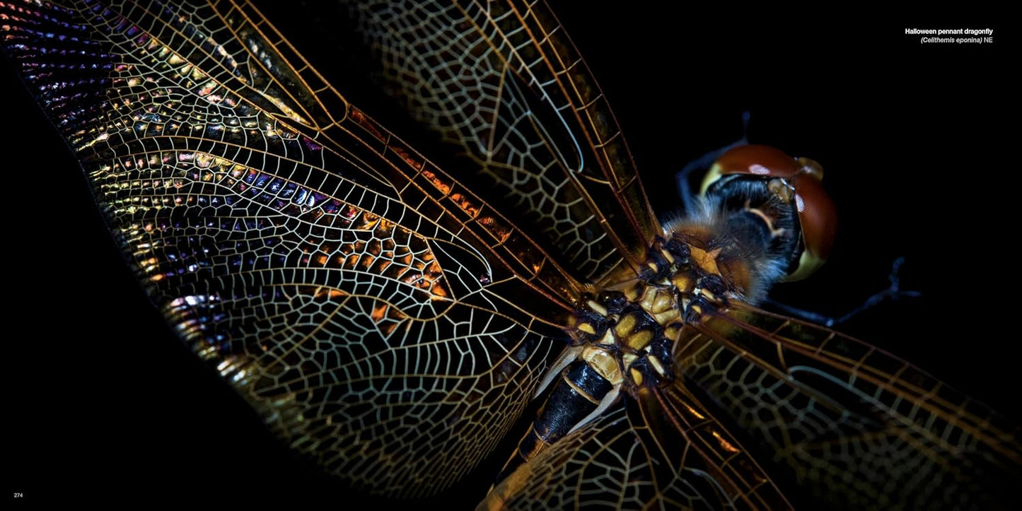 The Photo Ark: One Man's Quest to Document the World's Animals (National Geographic)
