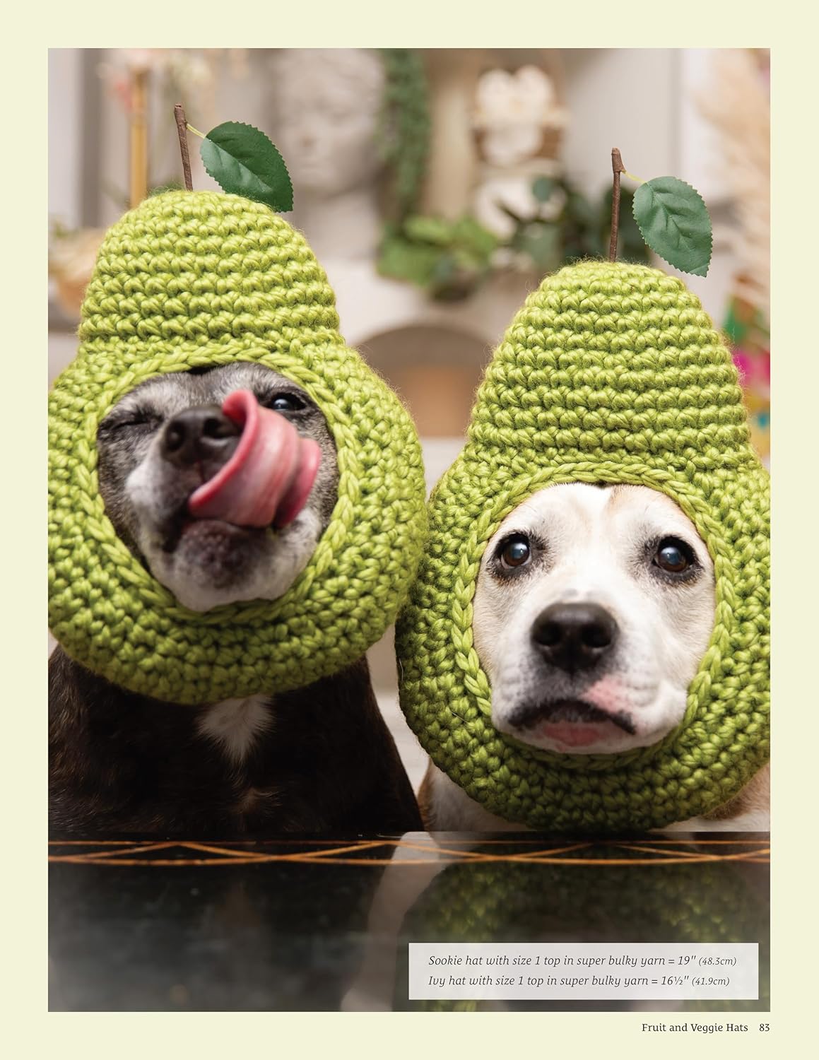 Sookie and Ivy Crochet Cute Dog Hats: Funny Snoods and Toppers to Stitch for Your Best Friend